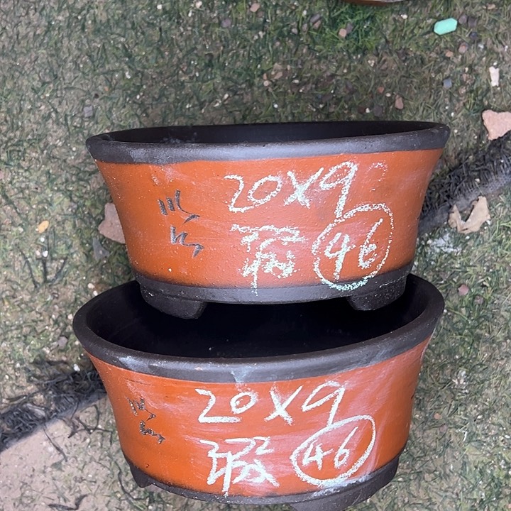 红陶阿****A紫砂艺术学院