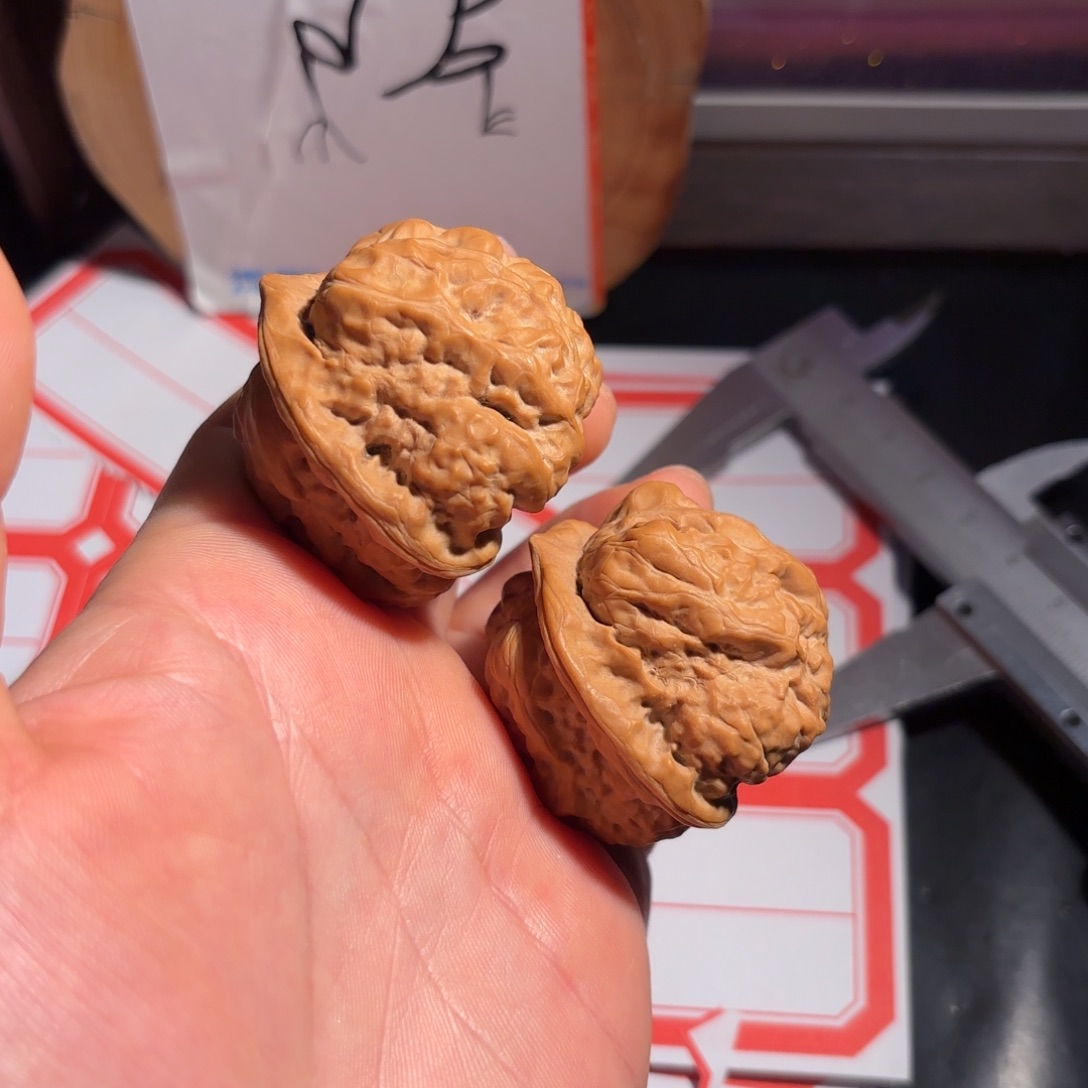 有***哥桃木39边尺箭毒蛙三角全品蛙