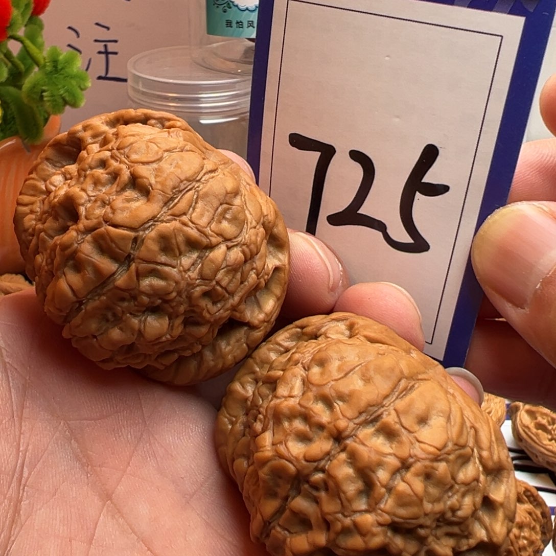 文玩核桃把件全品球形龙鼎49.5尺寸725号