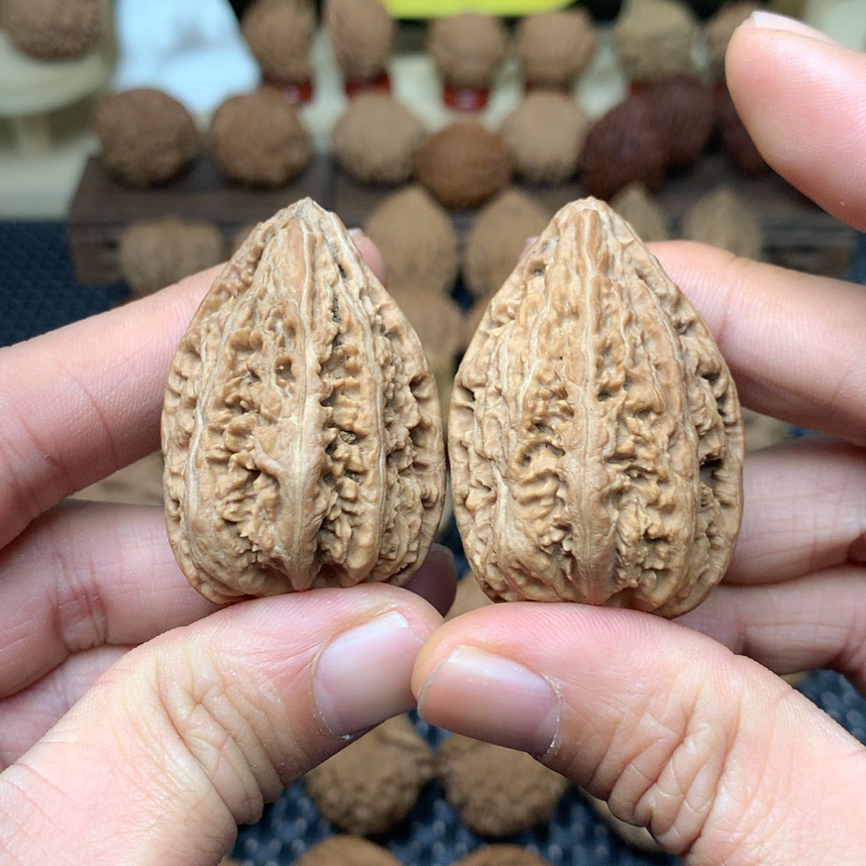 【闪购商品】文玩核桃把件全品吉林蛟河塔尖秋子