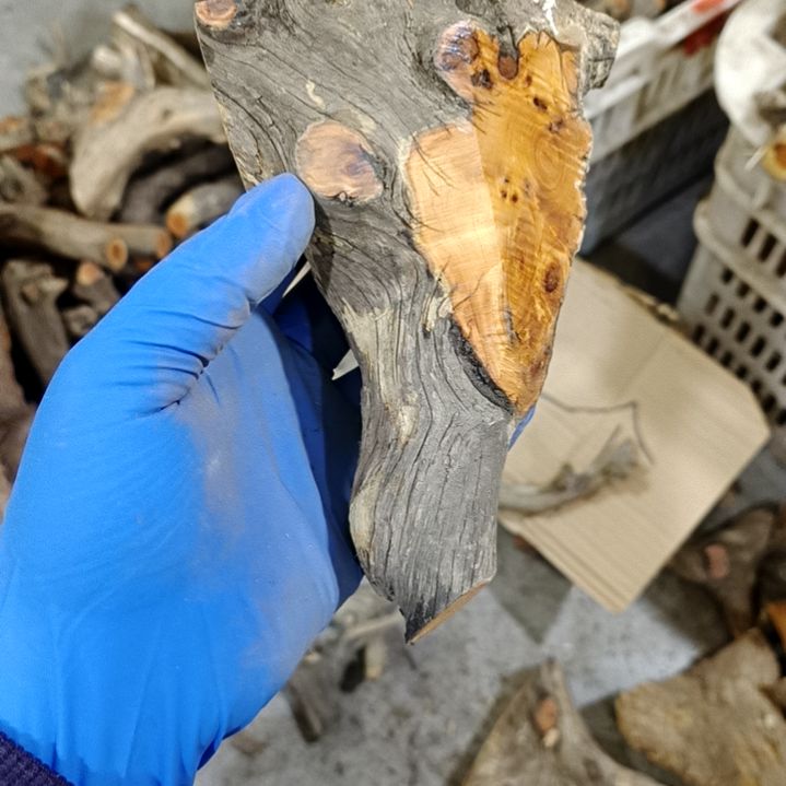 ****们香榧木崖柏随行毛料毛料毛料