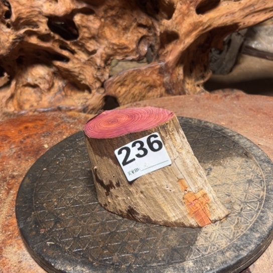 大果紫檀（缅甸花梨）长**奈