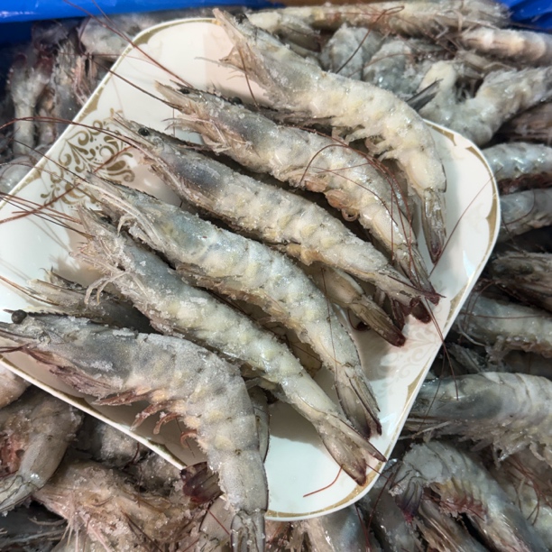 当地海水虾 3斤 15-20个头 顺丰发货