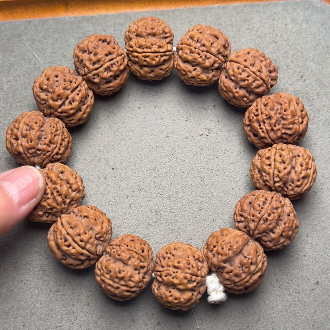 菩提31号金刚菩提梅花梁26