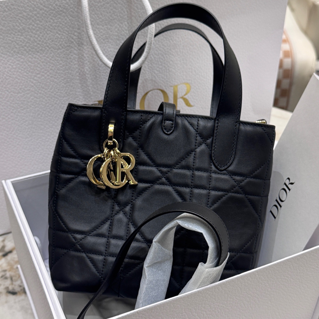 未使用 DIOR/迪奥 小号 Toujours 竖版 土著包 黑金全套 10月票