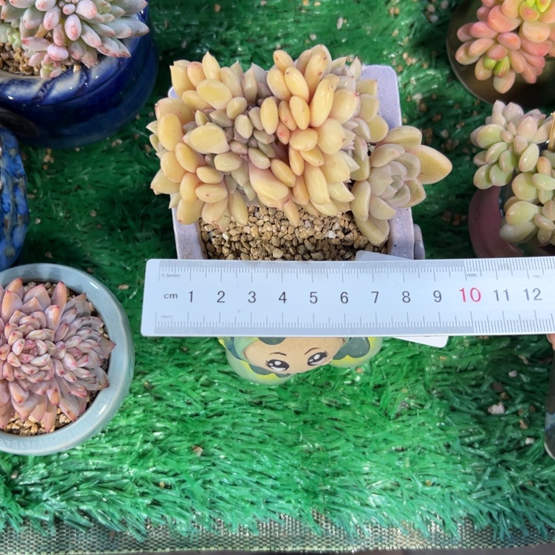 锐***麻068满38包邮一物一拍