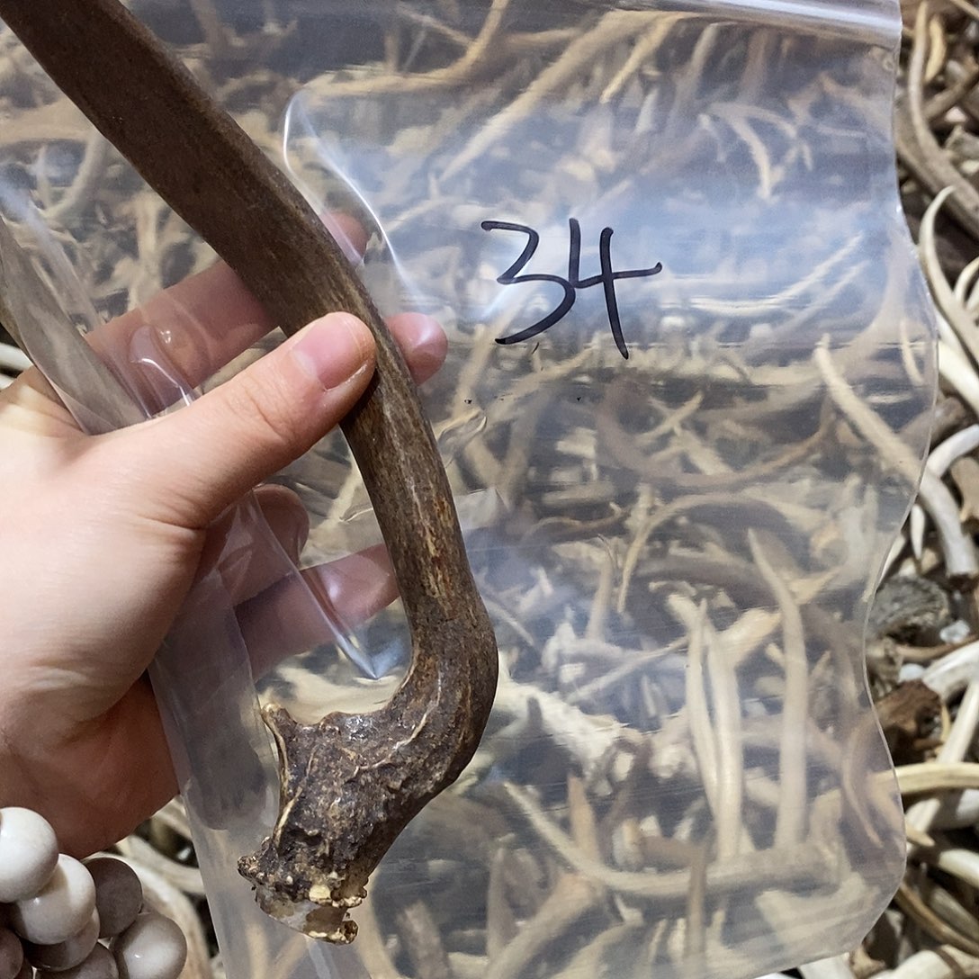 菜***羊非金属鹿角鹿角鹿j