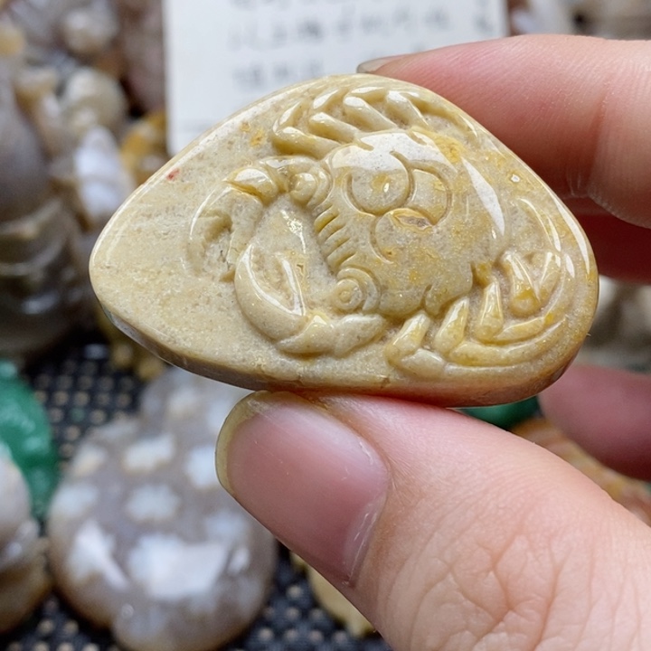 硅化珊瑚（珊瑚玉）颈饰未镶嵌