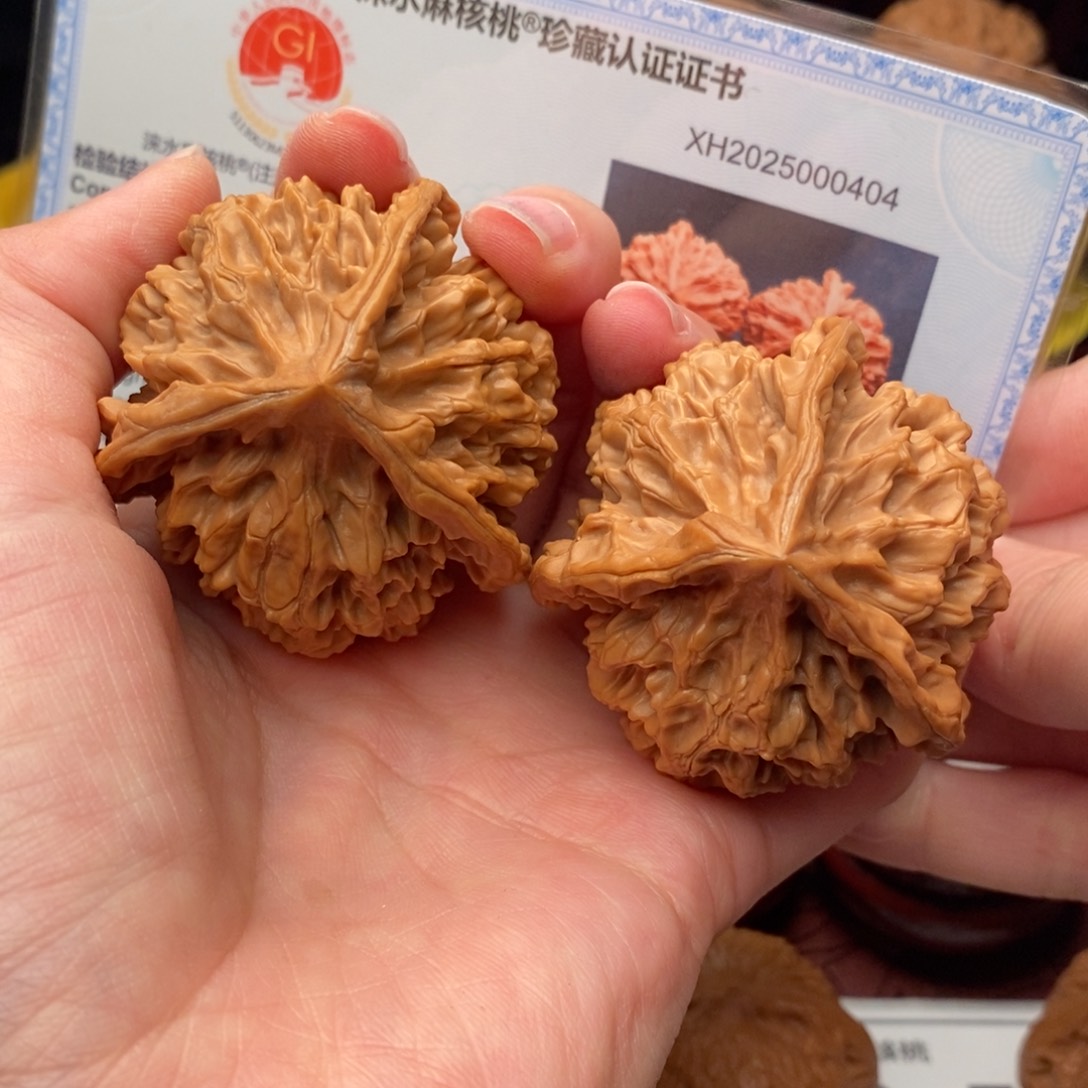文玩核桃把件龙纹奔49