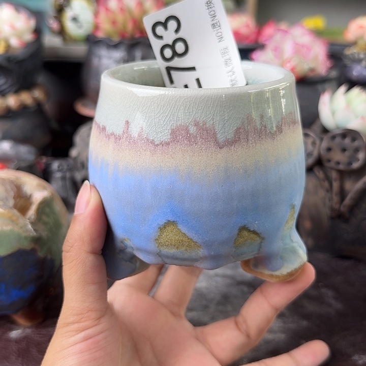 重庆小燕子欢迎大家783