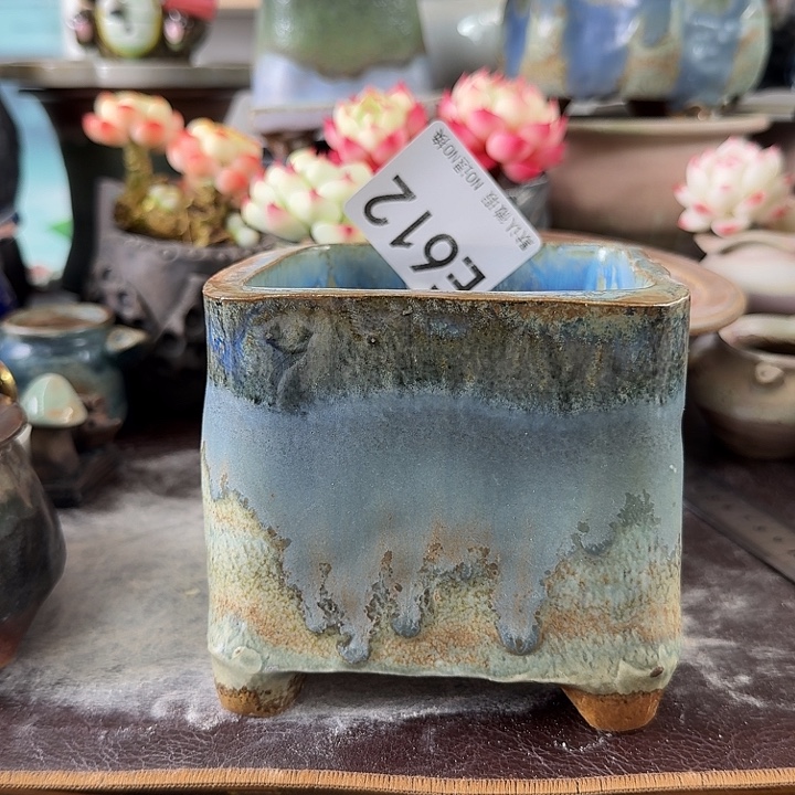 重庆小燕子欢迎大家612