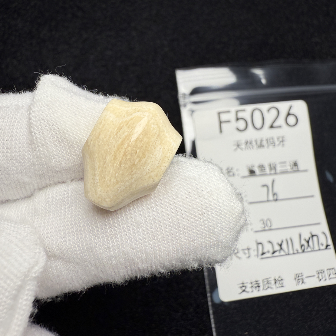 F5026猛犸象牙鲨鱼背一体三通冰料果冻料12.2*11.6*17.2mm