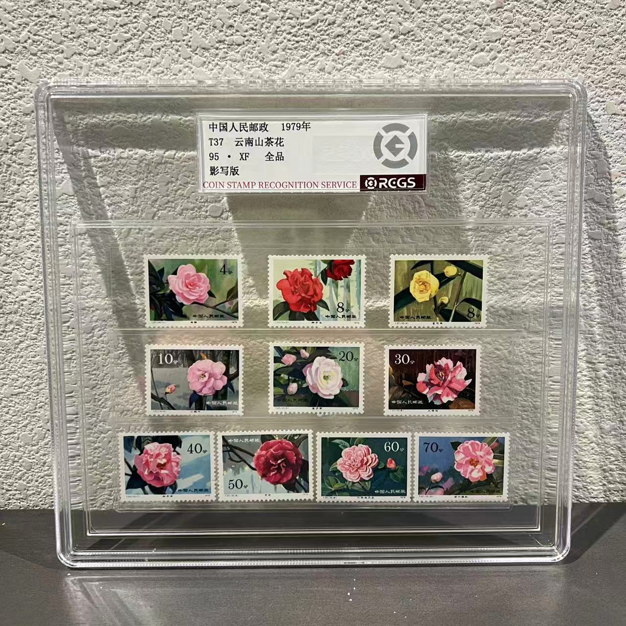 T37云南山茶花套票1979年封装鉴评收藏展示