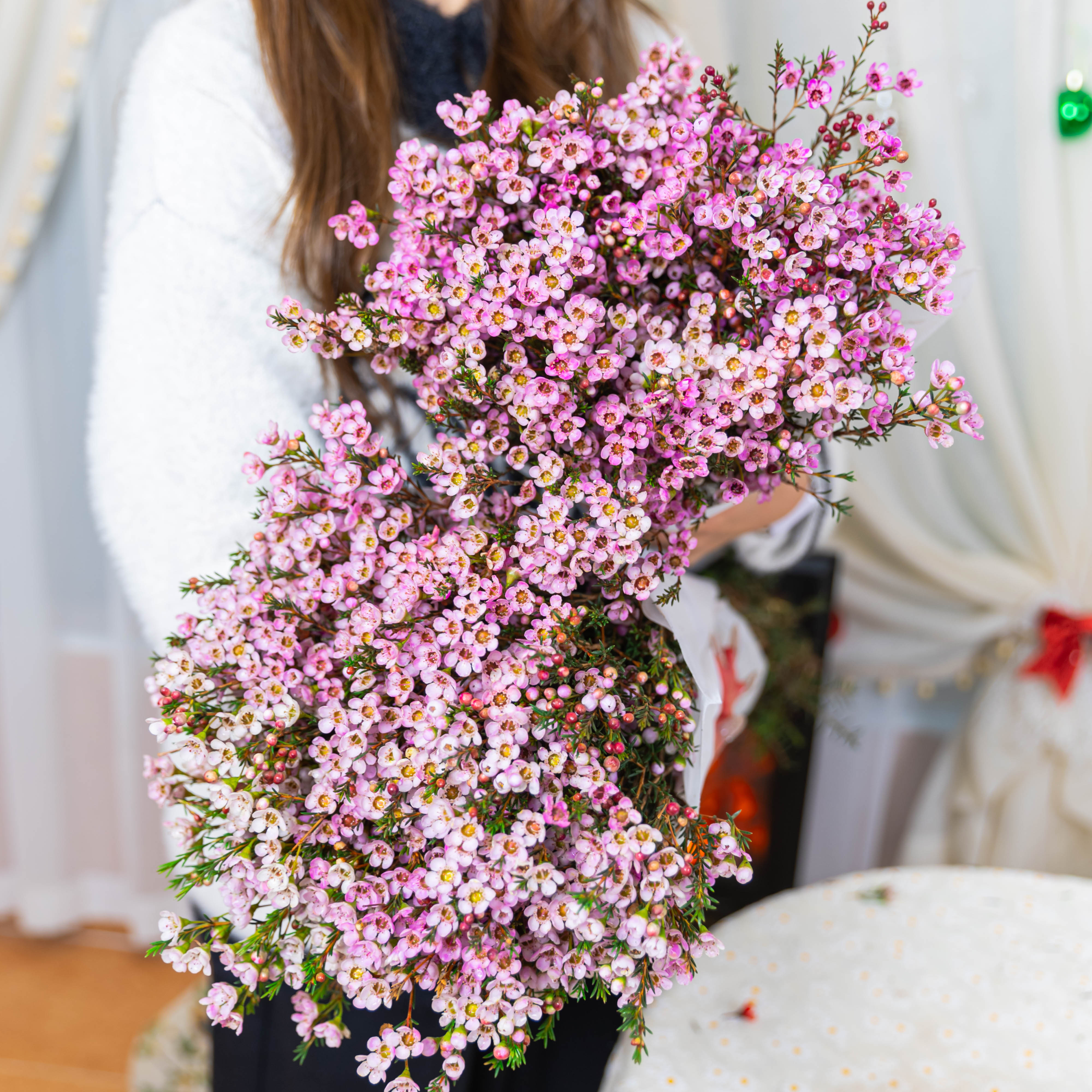 【买半斤送半斤到手一斤】澳洲腊梅鲜切花水培云南基地直发年宵花