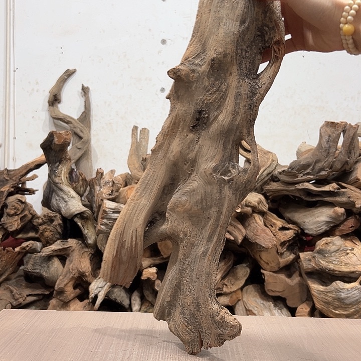 柏木木**林全球化了吧