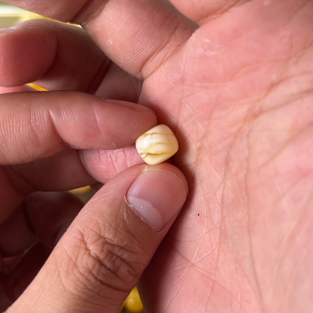 琥珀裸石未镶嵌溜**哒蜜蜡金白虎皮纹10毫米