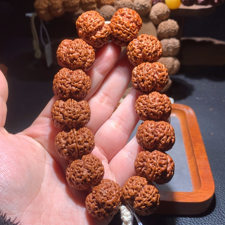 菩提籽类23+至尊定制