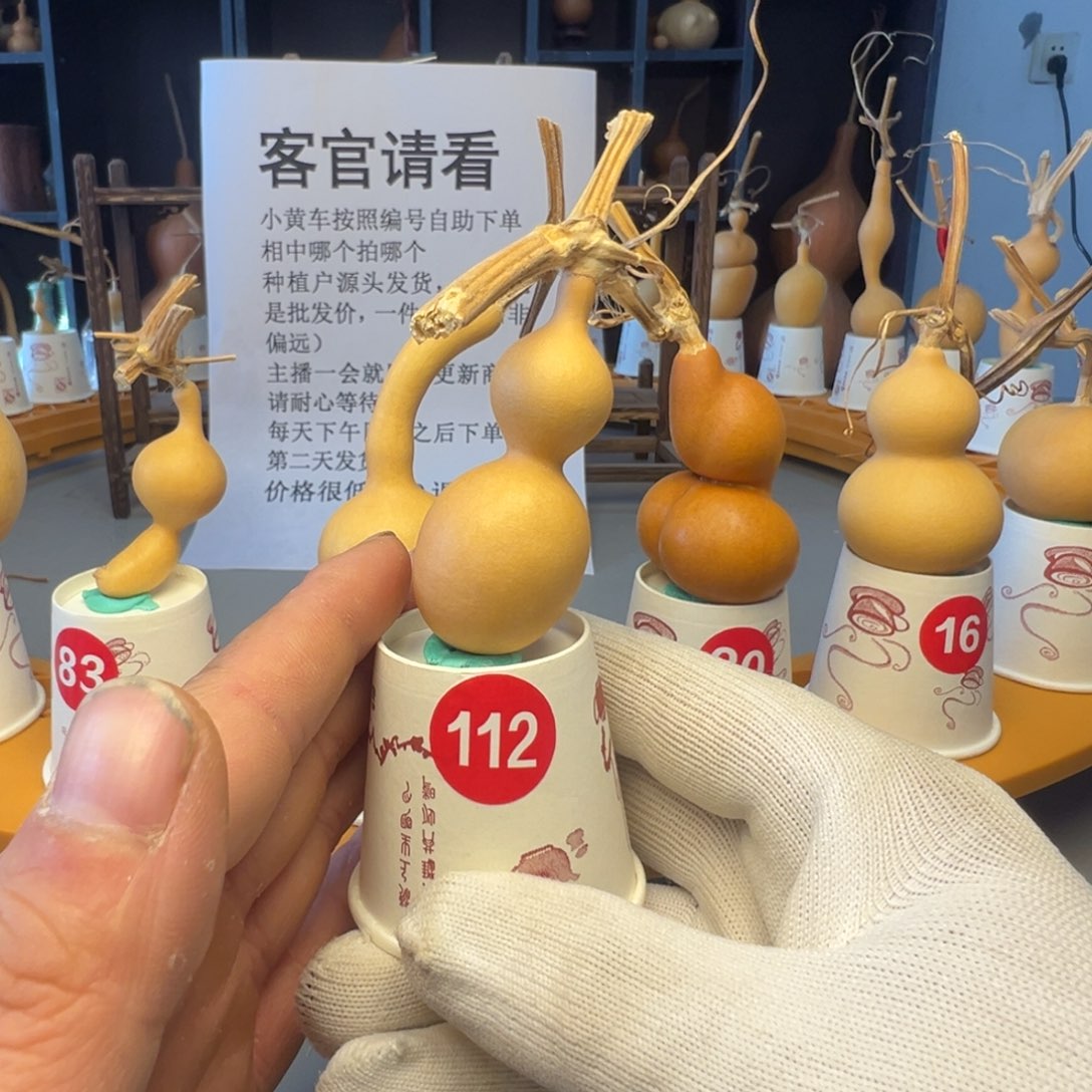 闪电购自助下单编号112