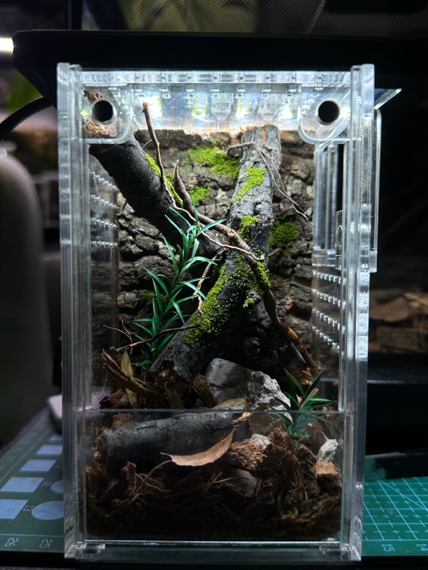 成品亚克力造景盒