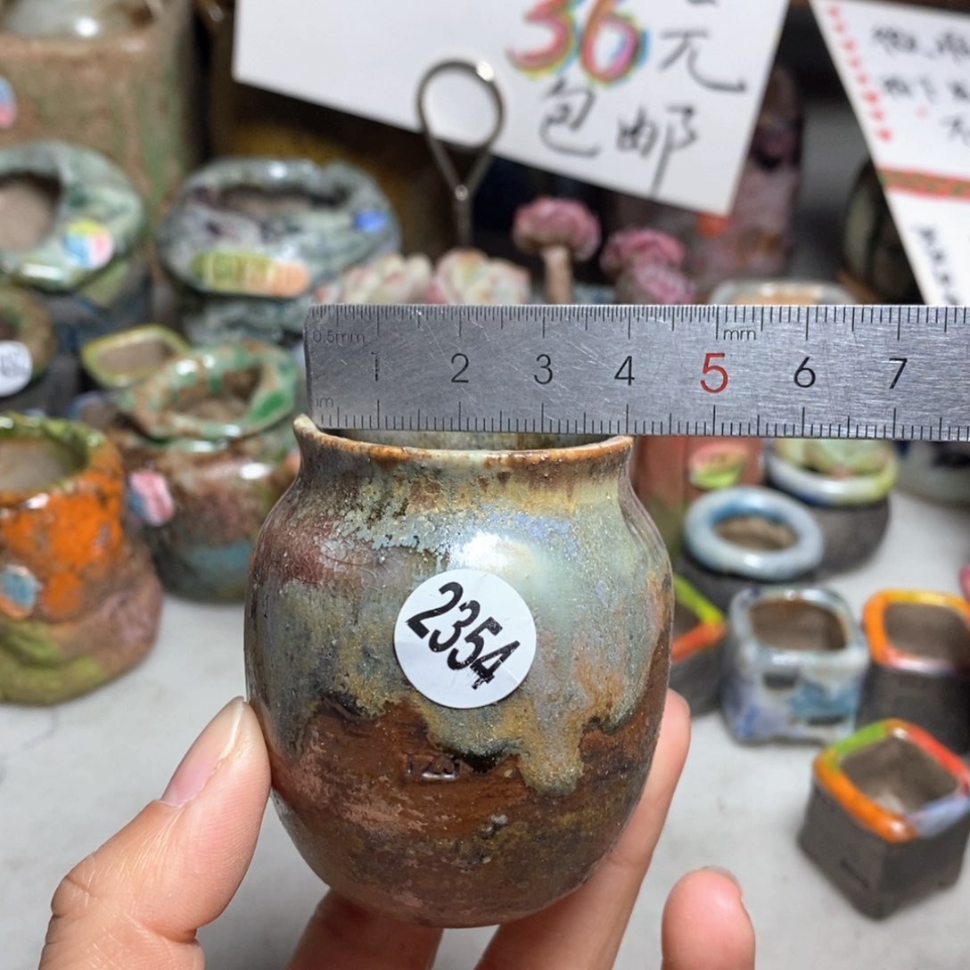花盆拍5送一个小礼物