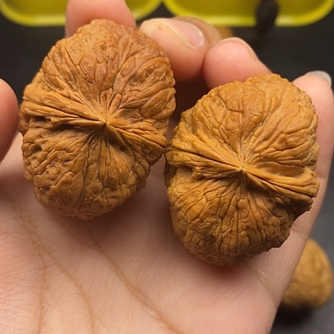 文玩核桃把件45尺65克