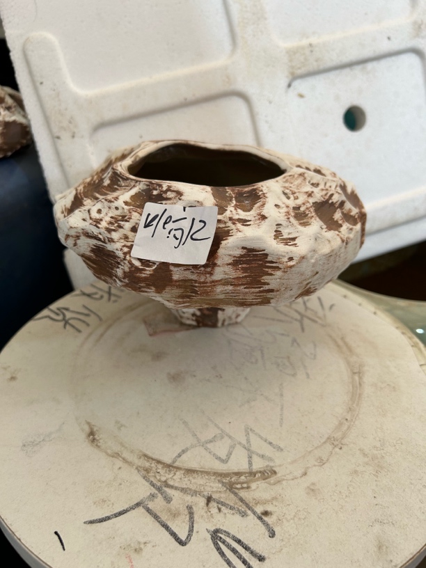 多肉花盆创意设计适合家用绿植盆栽装饰