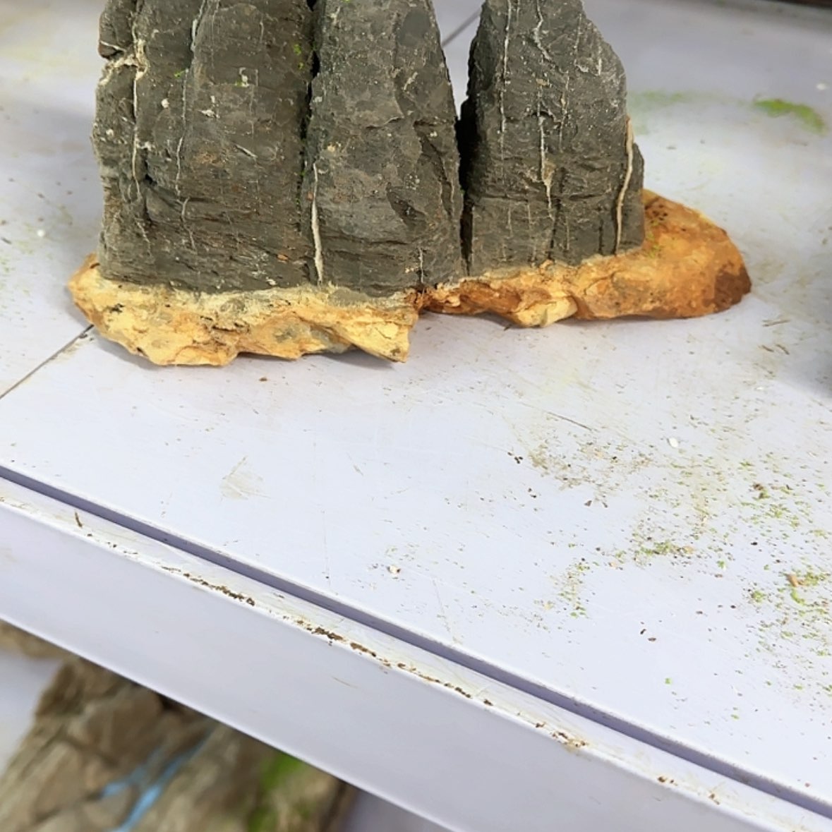 【闪购商品】香榧木南**士出汗也要来看看有没有什么地方