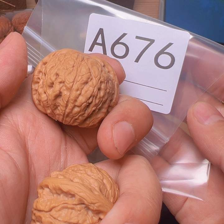 核桃乾隆磨，37，已打底