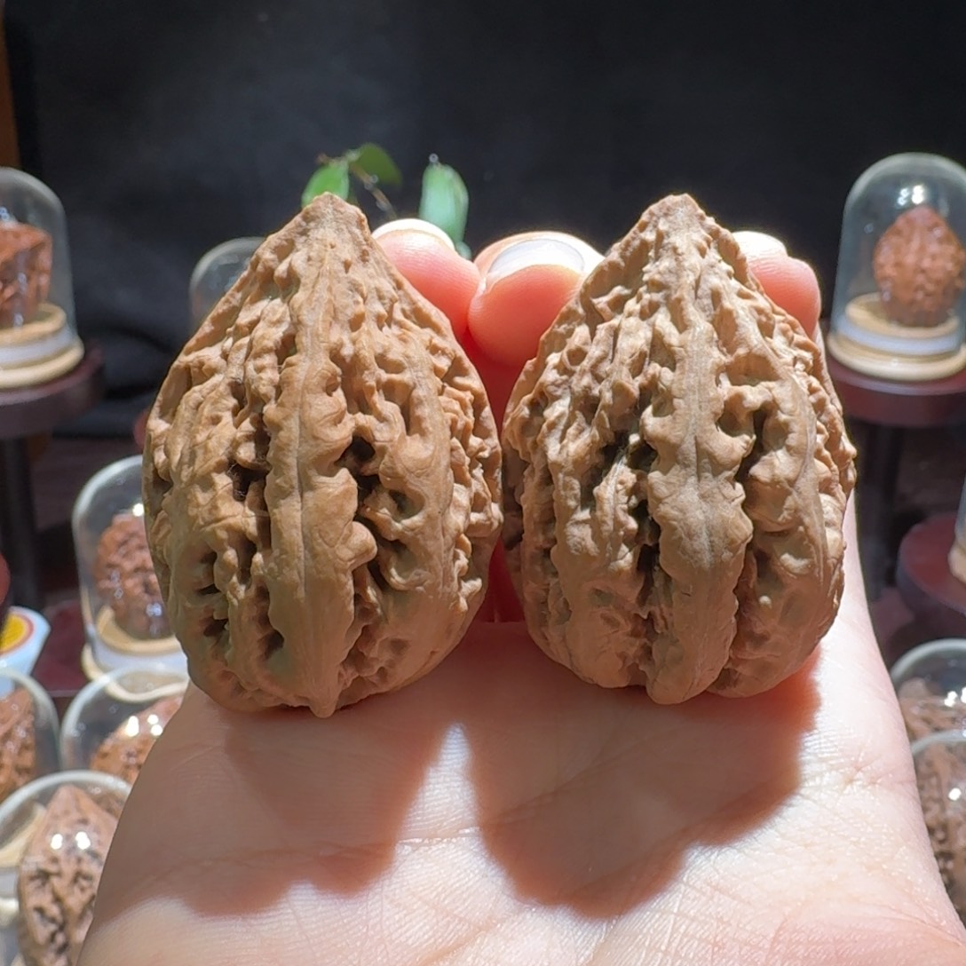 把件文玩核桃粗筋火焰龙