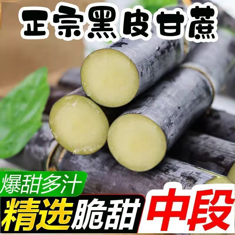 A广西脆甜甘蔗正宗黑皮甘蔗新鲜现砍 应季榨汁脆甜多汁水果批发
