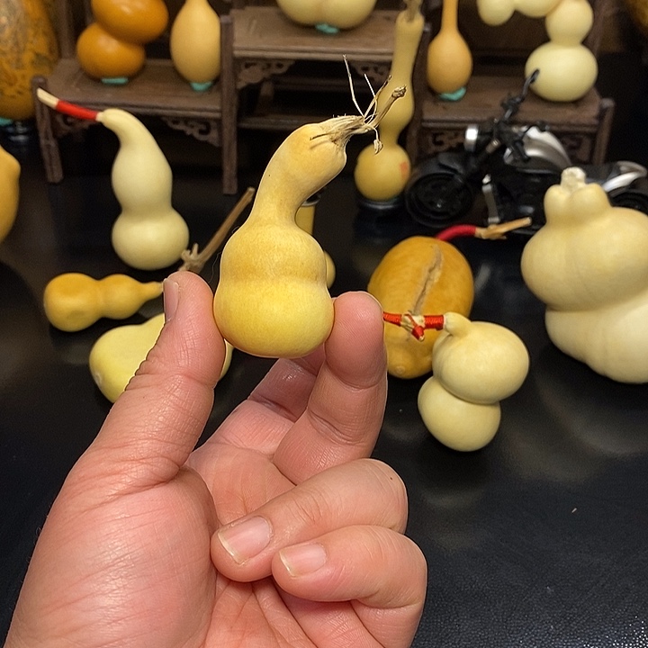 S***R精品葫芦手把葫芦7