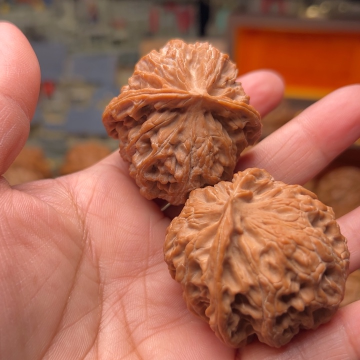 小***下核桃43苹果园狮子头