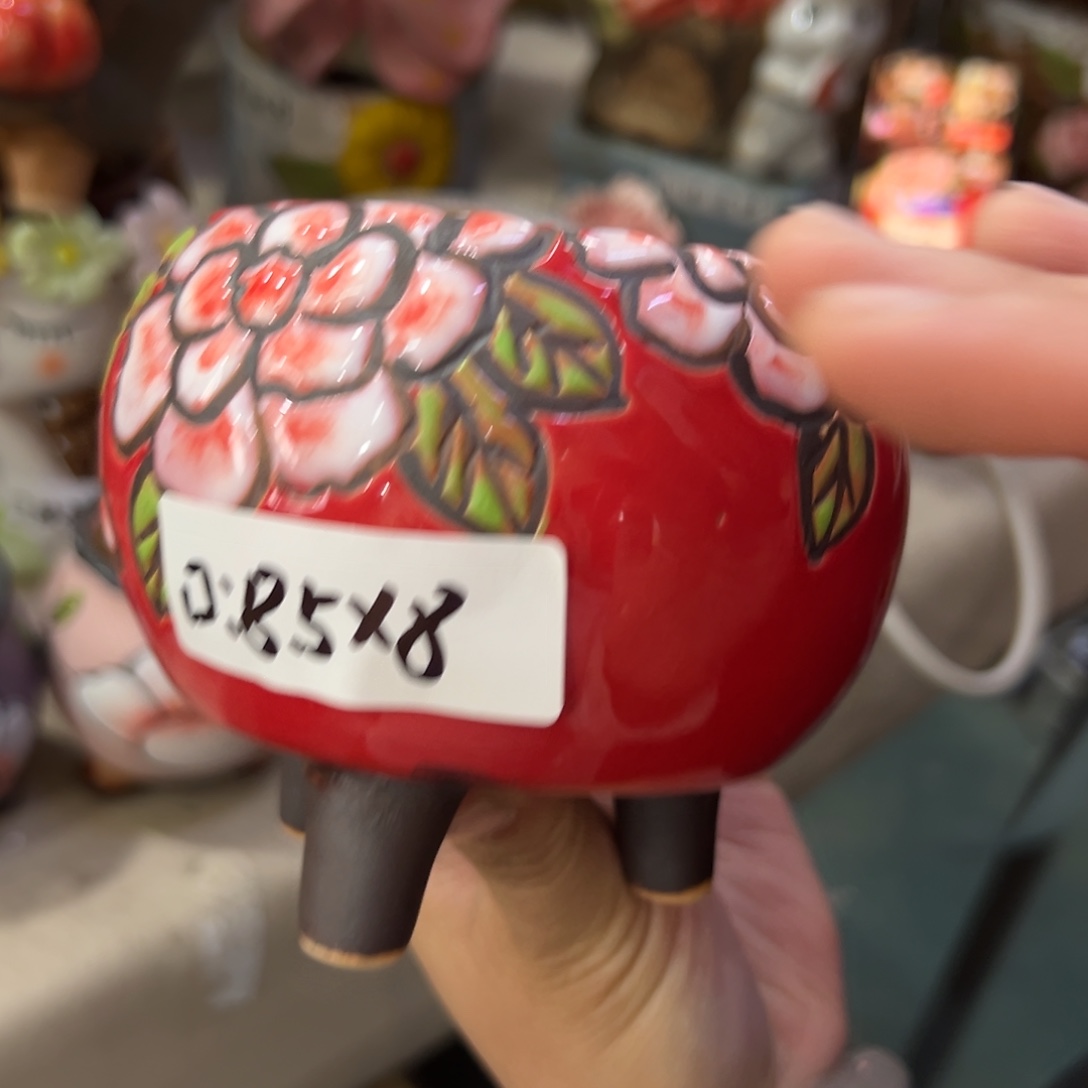 满18.8米秒退拉黑花盆