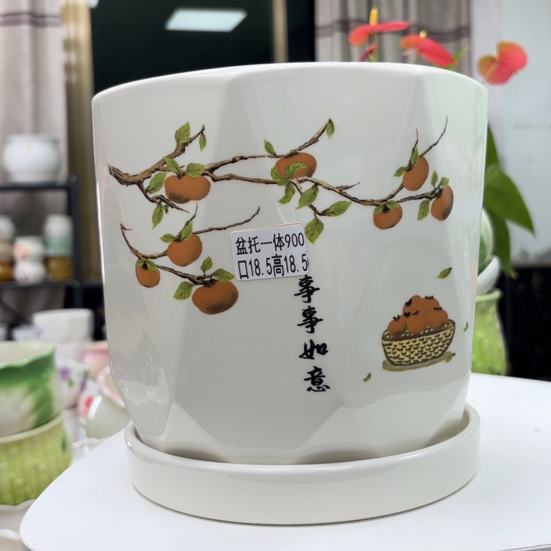 @夏西陶瓷花盆@@5900