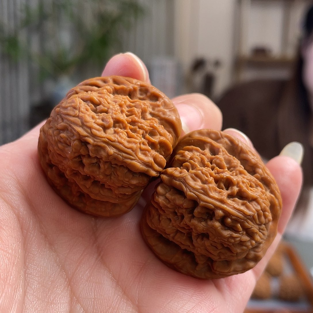 桃核把件37×37尺精修白茬涿鹿老树南将石CN01389