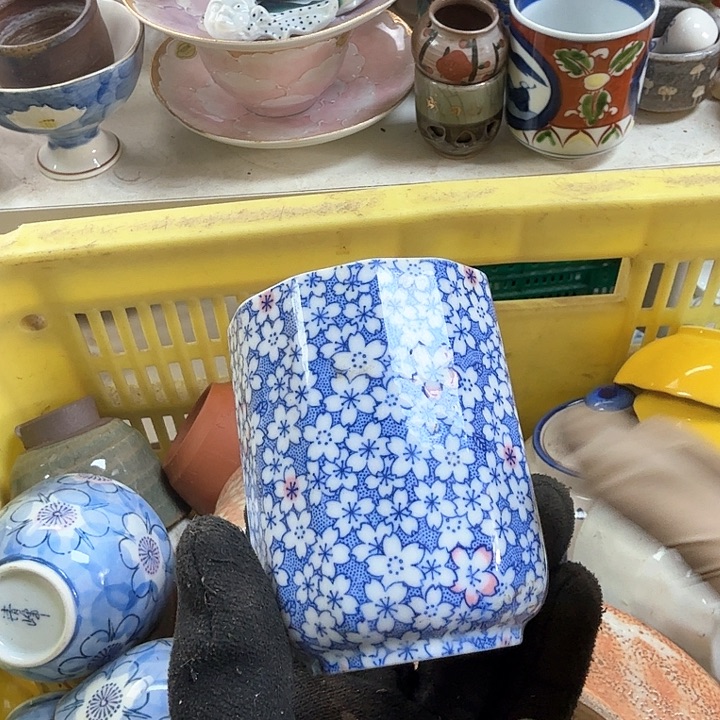 碗开播啦….开播啦