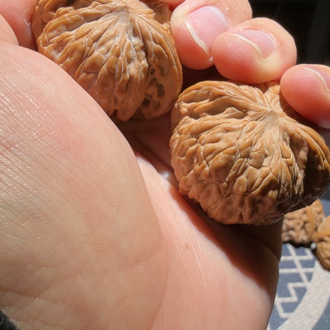 文玩核桃把件墨磨盘