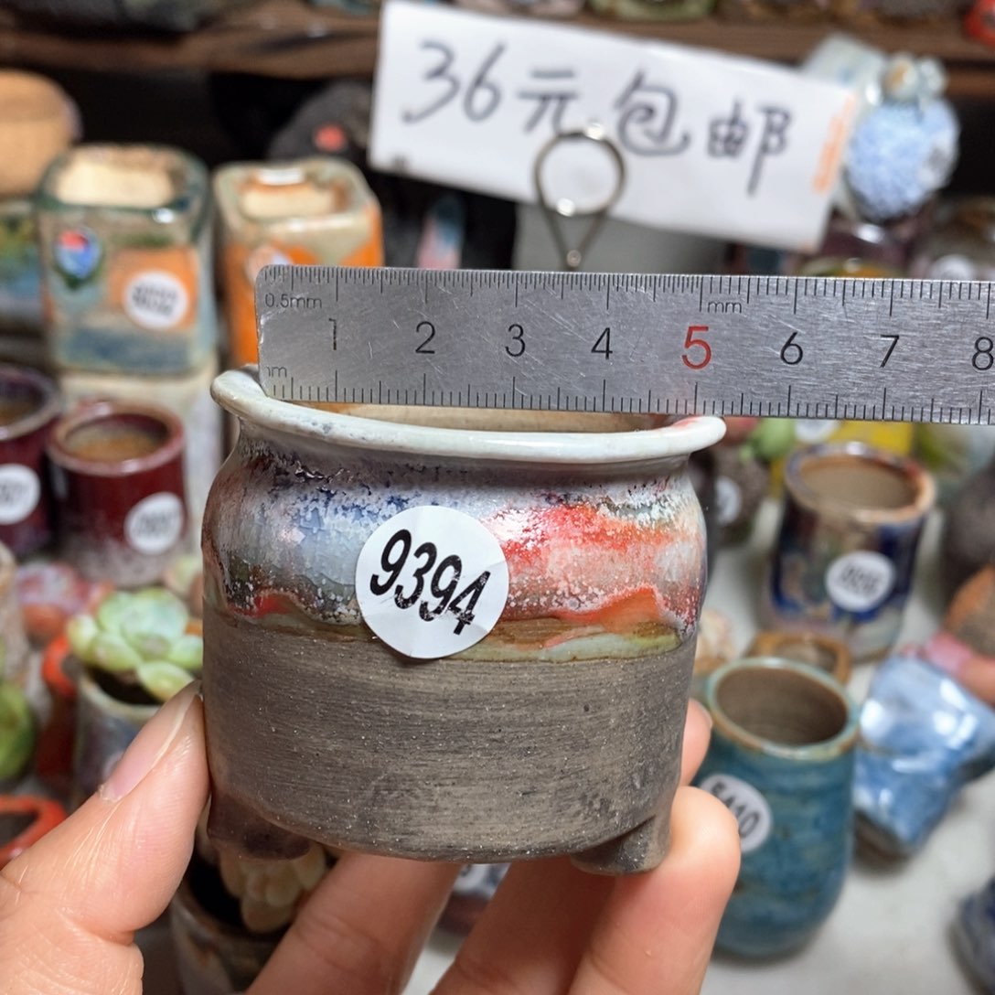 花盆拍5送一个小礼物