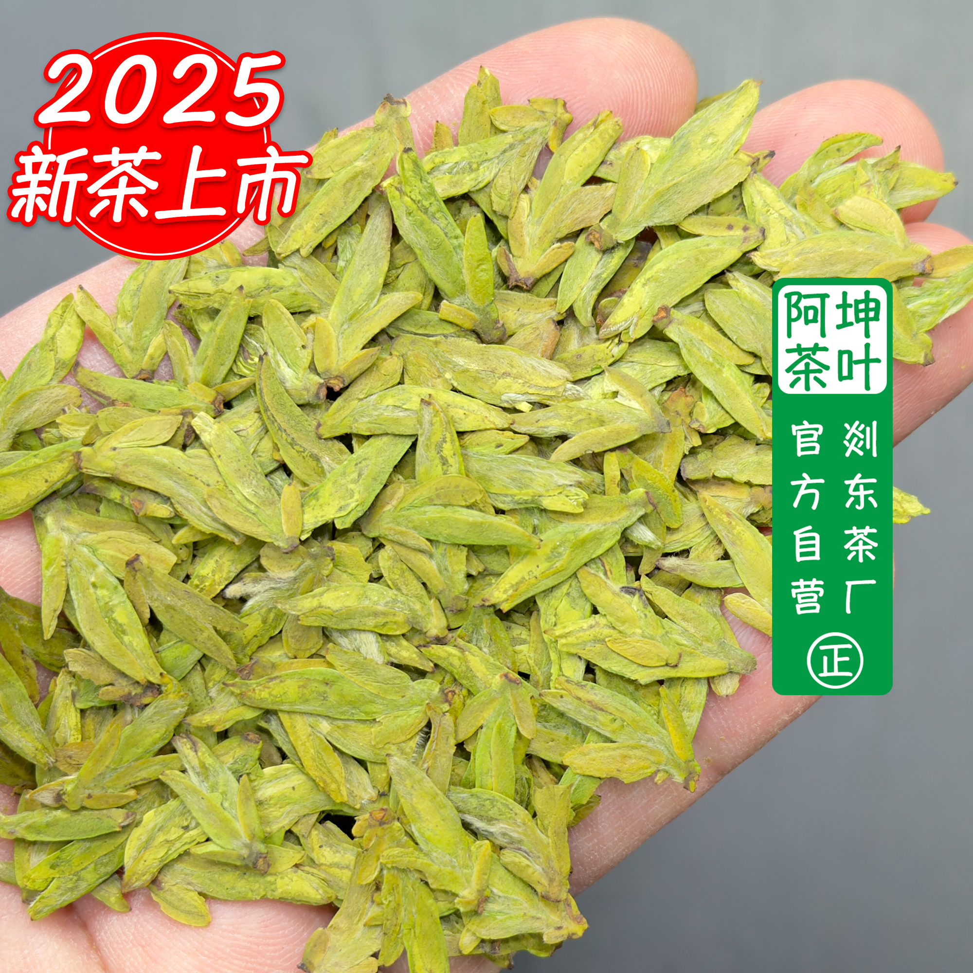 【A11款】2025年新茶头采特肥芽明前龙井茶高端大佛龙井黄版豆花香