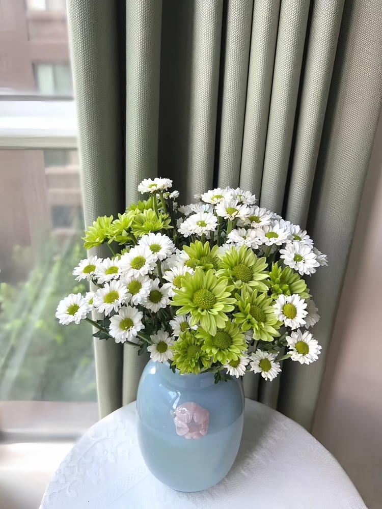 【凯蒂白+绿精灵】多头鲜花小菊昆明基地直发精品鲜家庭水养插花