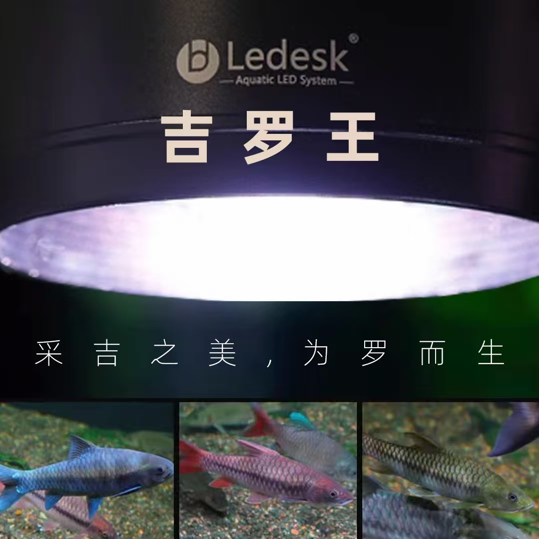 乐迪吉罗王专用鱼缸灯全光谱增色显色爆藻可定时原生鱼灯