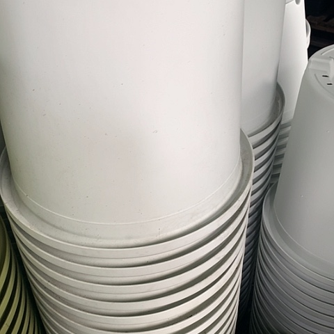 树脂7加奶白无托微瑕3个