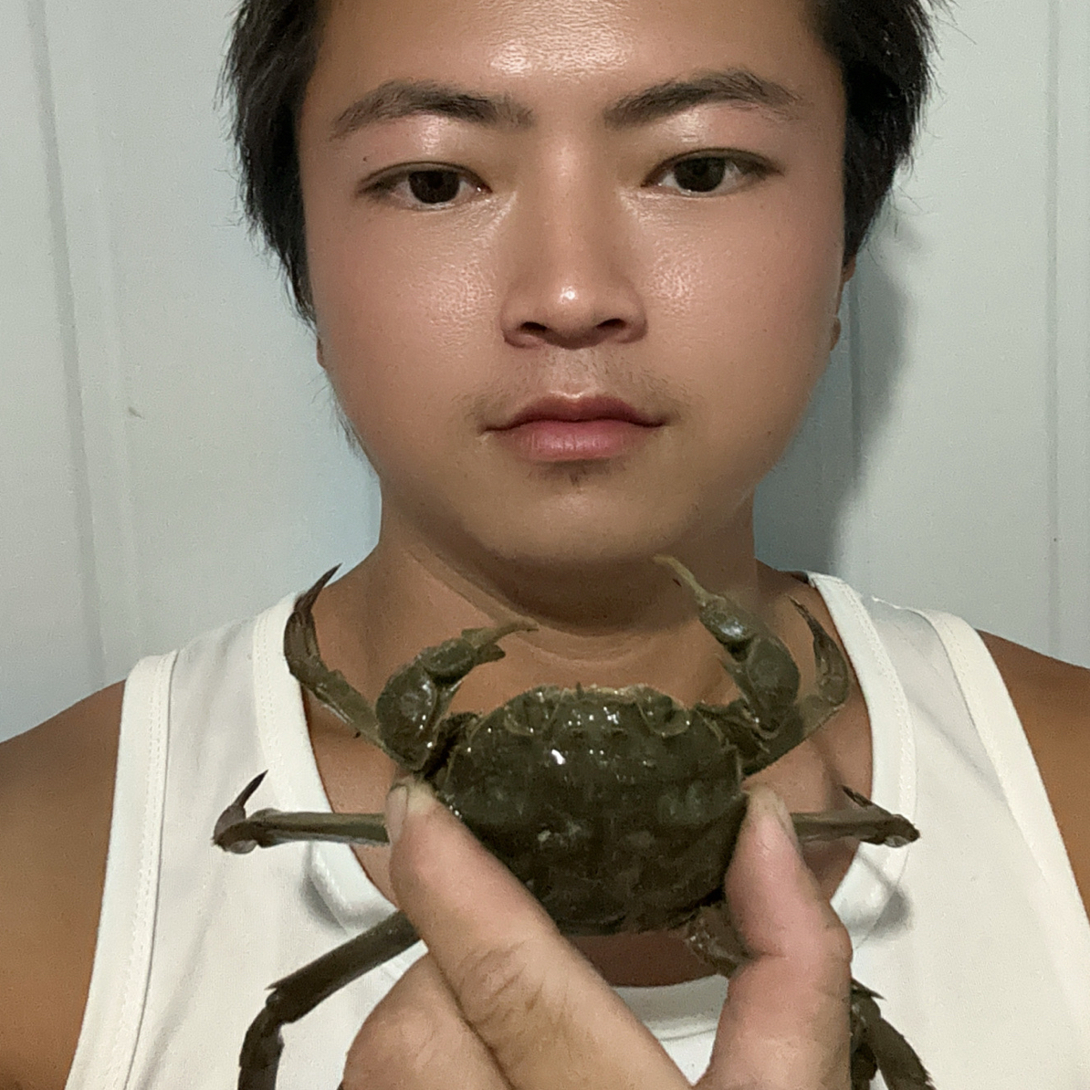 2两的母蟹10只鲜活