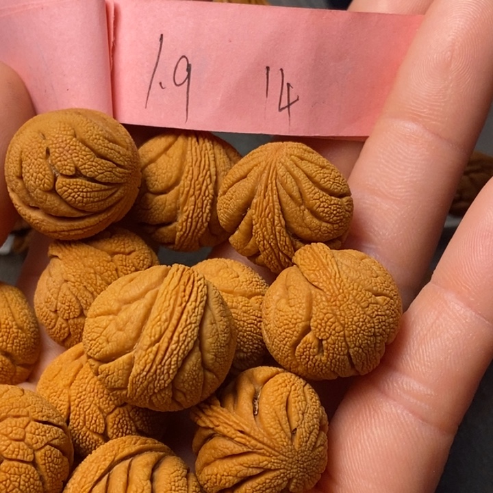 吊坠桃核陕西秦岭山桃核