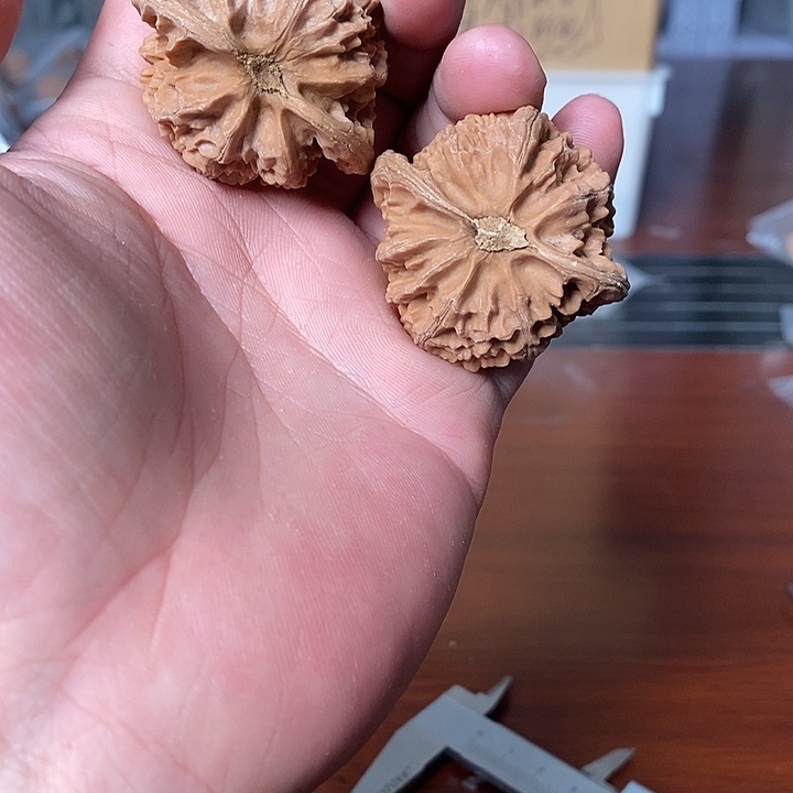大叶紫檀（黑酸枝木类）