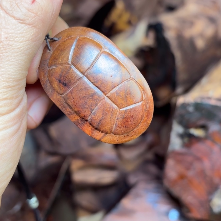 海南黄花梨老老富甲