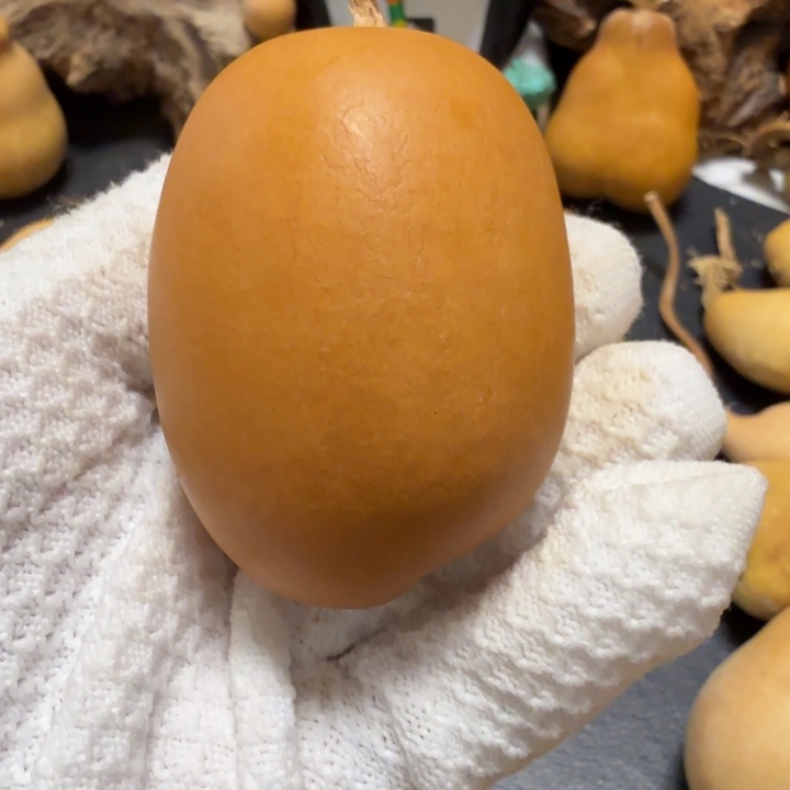 1***道666666666666666677777