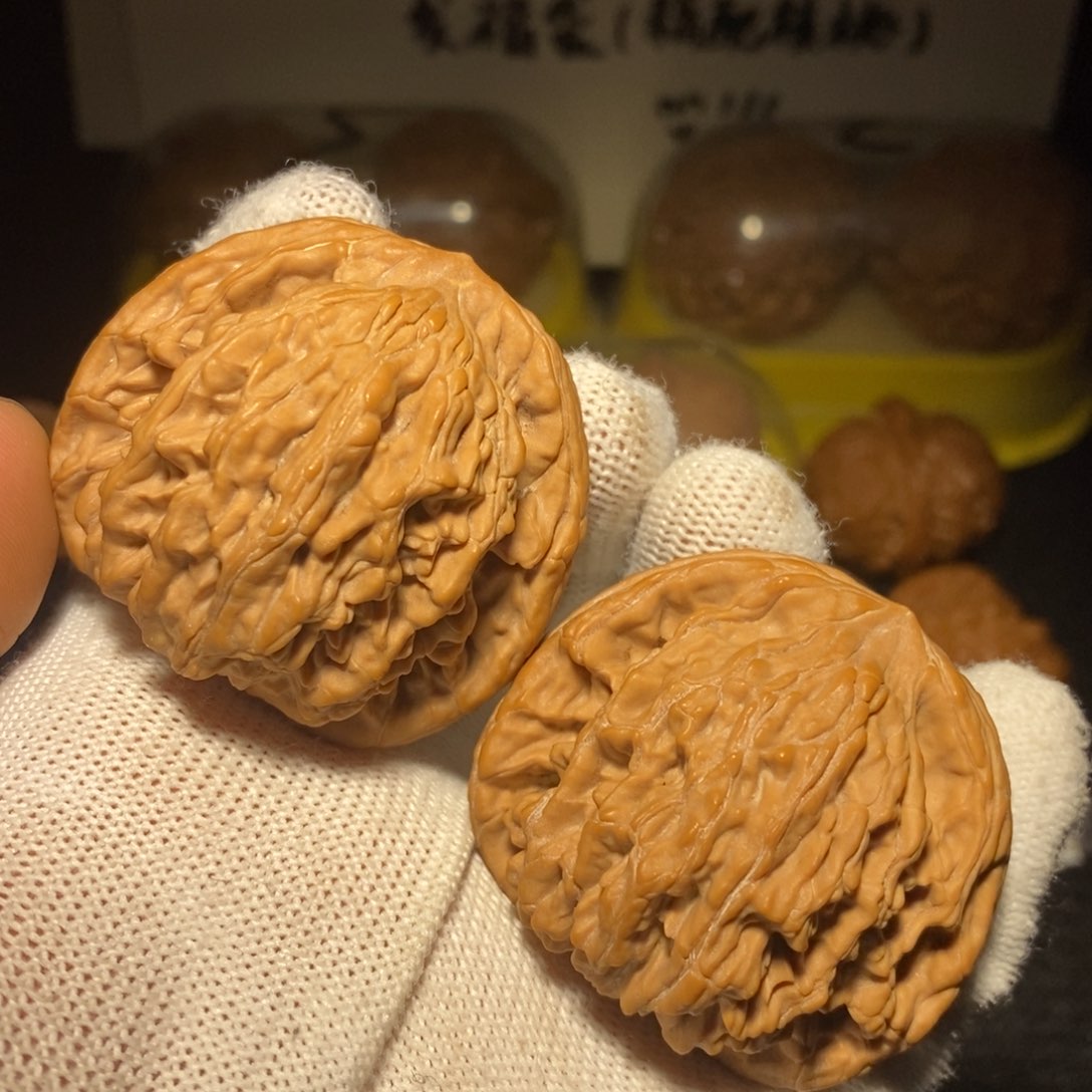 师虎兽45尺新春福利