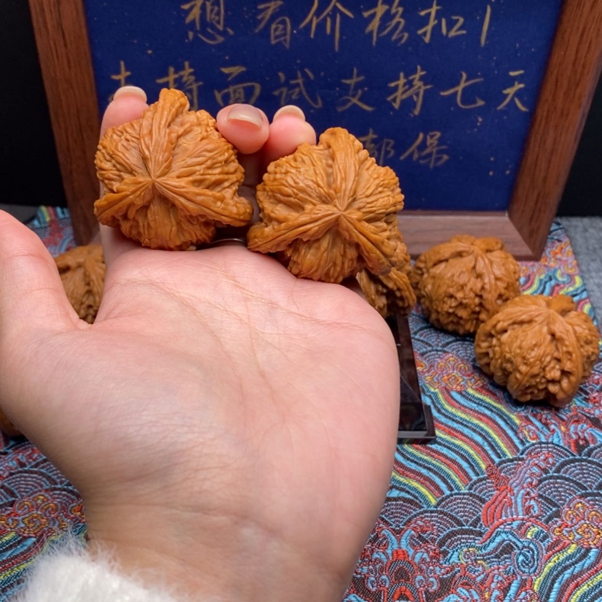 【闪购商品】一****。白狮