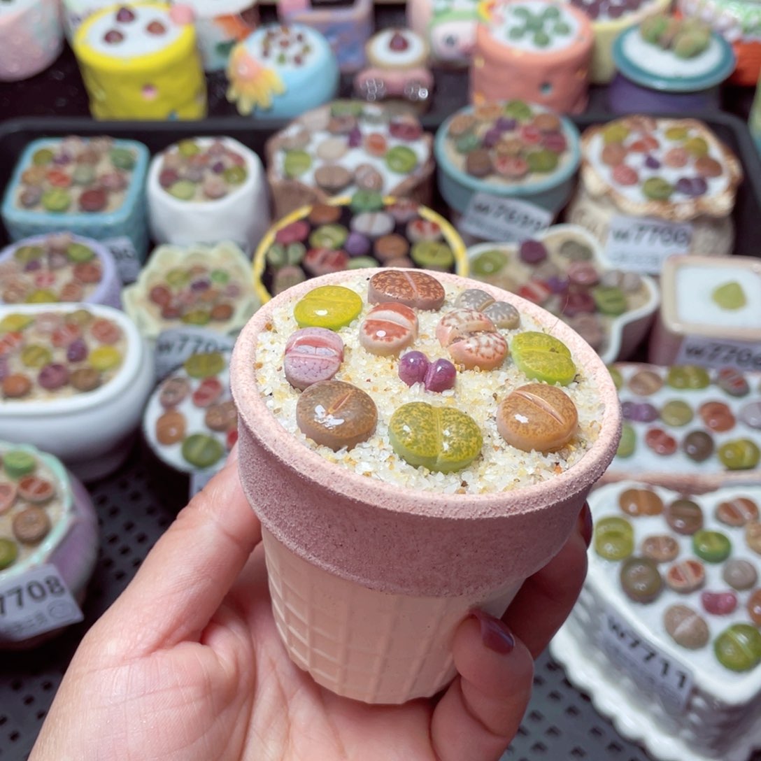 w7712 -零下地区拍保温箱-15支持寄养